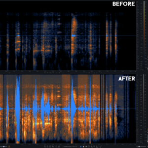 Audio Restoration Before After