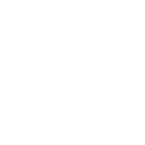 Smart DSP Logo White
